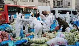 通化疫情最新爆料,揭秘病毒变异与防控措施新动态